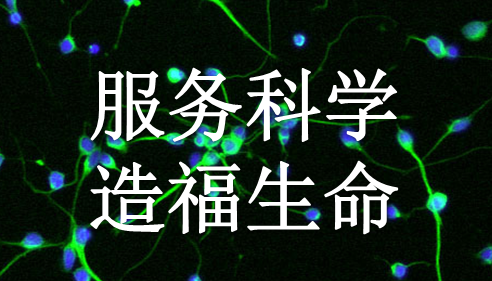 上海中乔新舟生物科技有限公司|Sciencell|生物材料|人类组织|细胞培养