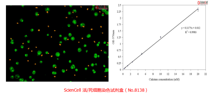 中乔新舟,科研,生物试剂,细胞技术服务,细胞培养,细胞检测,ScienCel,染色试剂盒,荧光