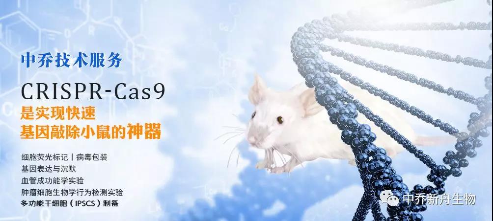 中乔新舟 生物科技 细胞培养方法 原代细胞和细胞系的差别 生物技术 PCR-SSCP HA 基因突变