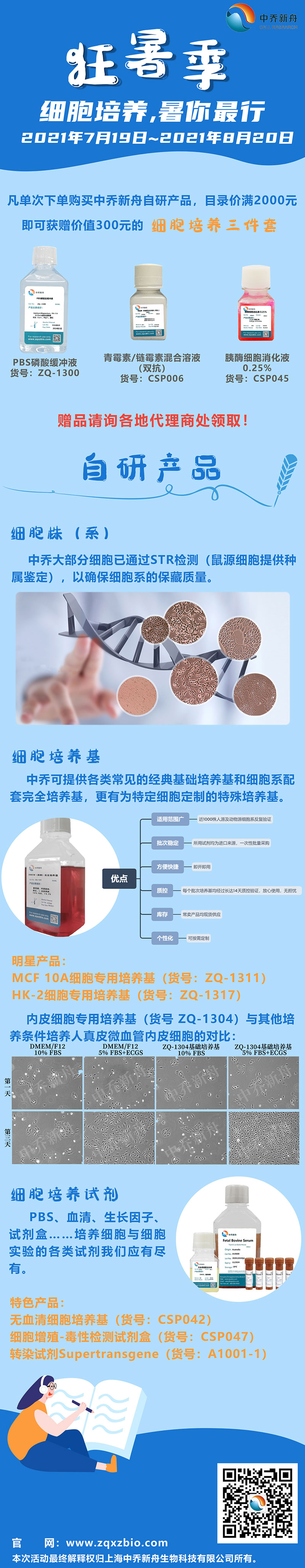 中乔新舟,生物科研,生物试剂,细胞技术服务,经典基础培养基,内皮细胞,细胞培养